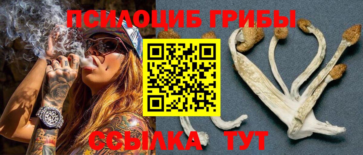 Псилоцибиновые грибы Magic Shrooms  Вход с VPN  Элиста 